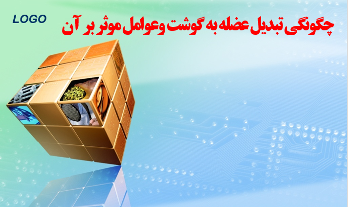 tabdil-azole-be-goosht